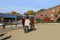 Reit AG auf Gut Neuhaus